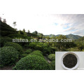 China green tea The vert de chine 41022 for Morocco,Algeria,Mauritania,Mali,Niger,Libya,Senegal,Burkina-Faso